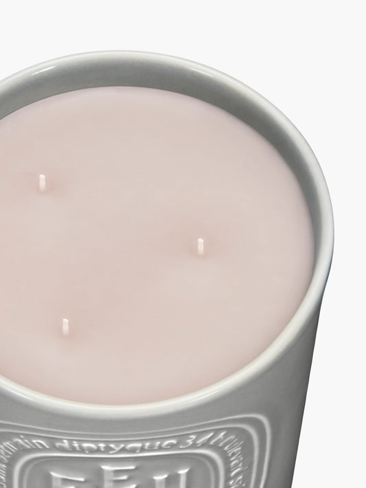 Feu de Bois (Wood Fire) Large Candle 600G