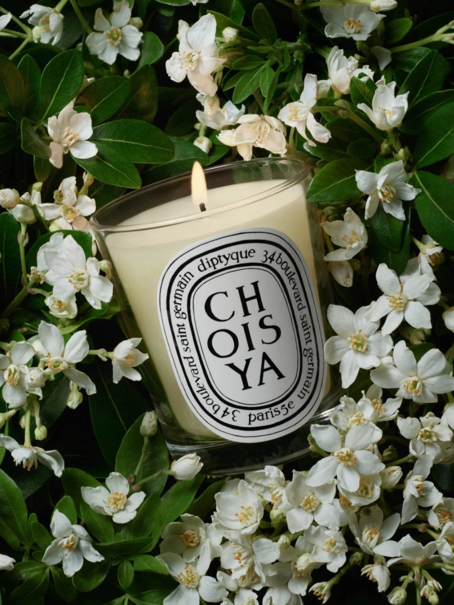 Choisya (Orange Blossom) Classic Candle 190G