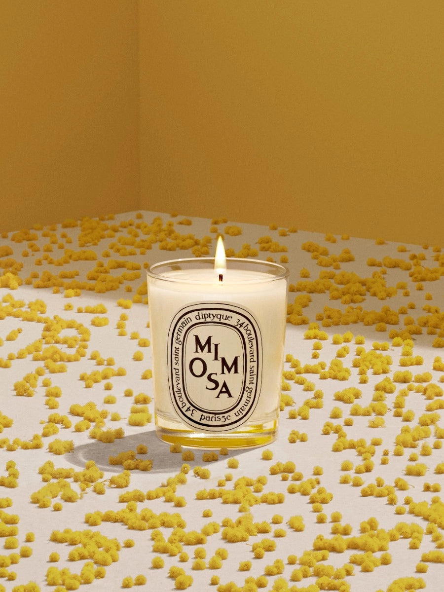 Mimosa Small Candle 70G