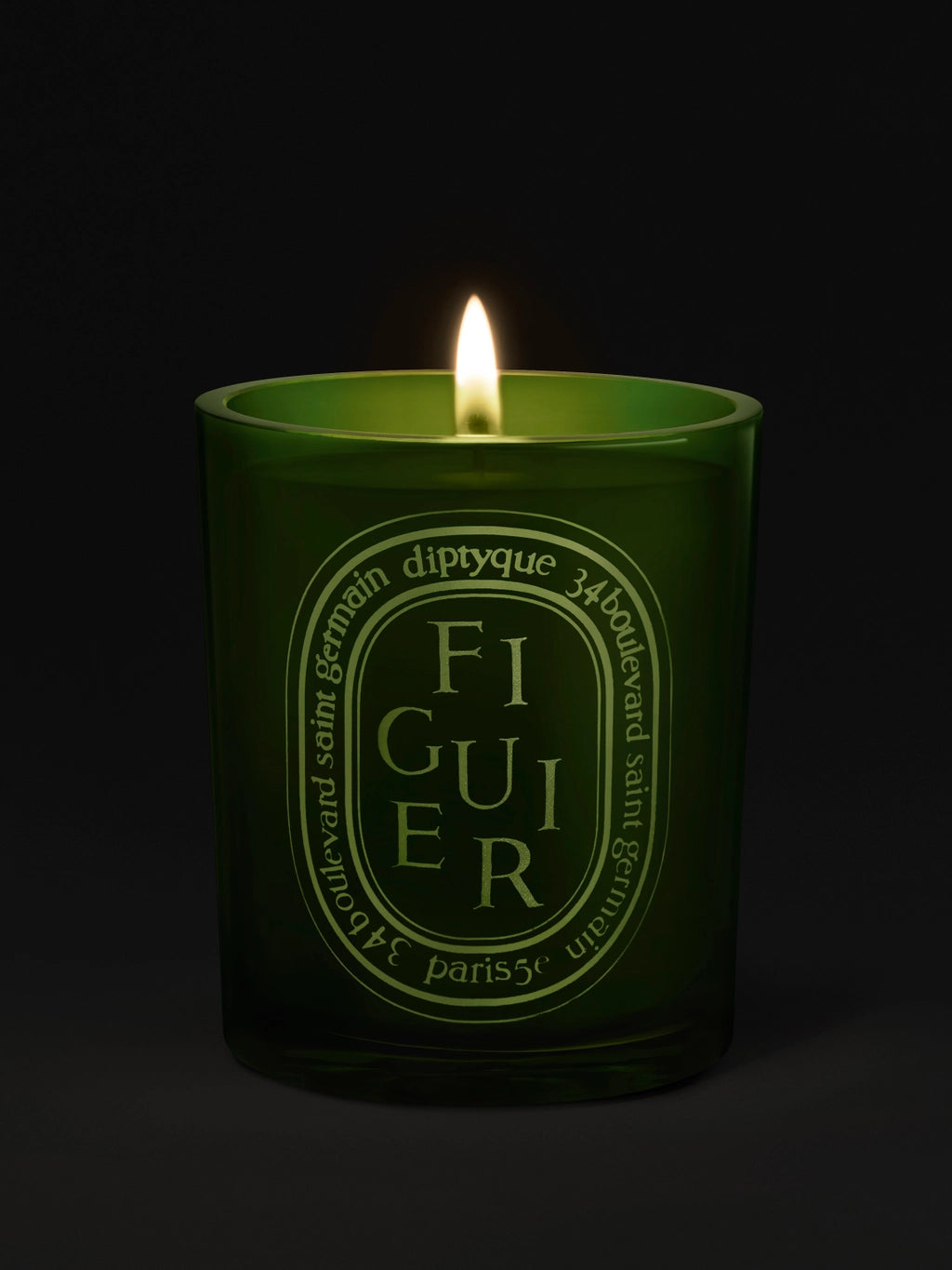 Figuier (Fig Tree) Medium Candle 300G