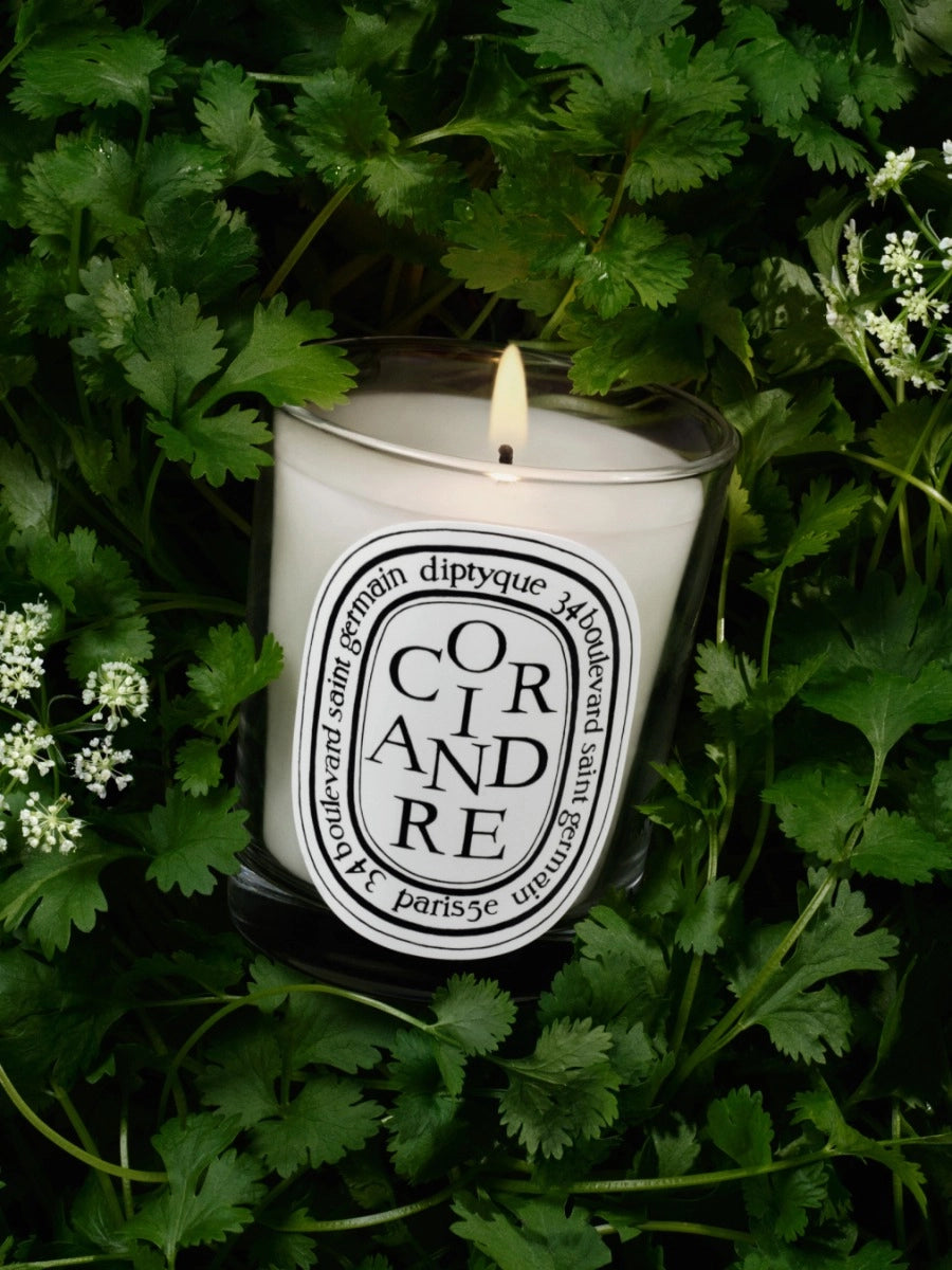 Coriandre (Coriander) Classic Candle 190G