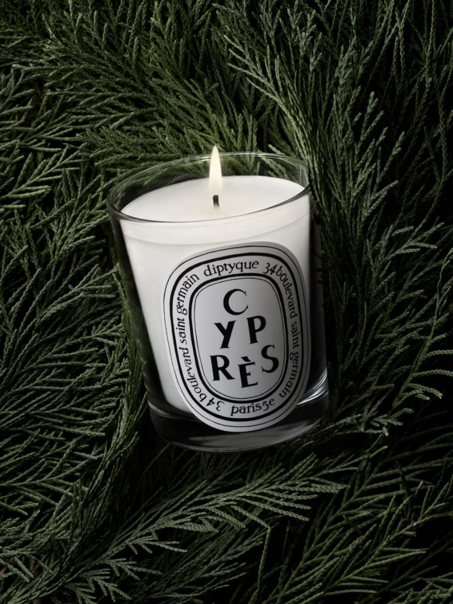 Cyprès (Cypress) Small Candle 70G