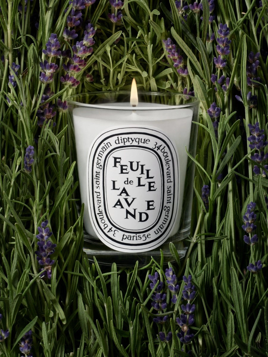 Feuille de Lavande (Lavender Leaf) Small Candle 70G