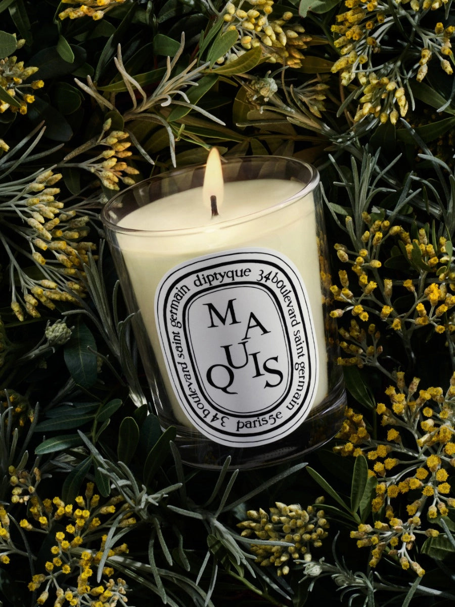 Maquis (Scrub) Classic Candle 190G
