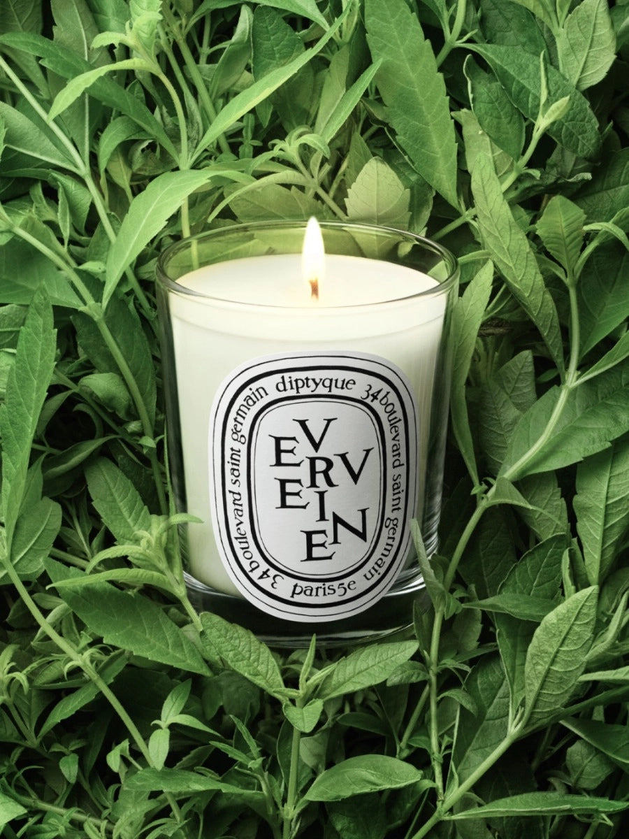 Verveine (Lemon Verbena) Classic Candle 190G